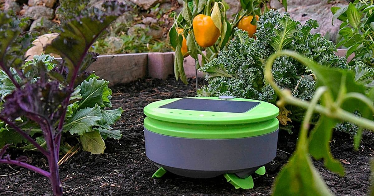 Tertill Weeding Robot