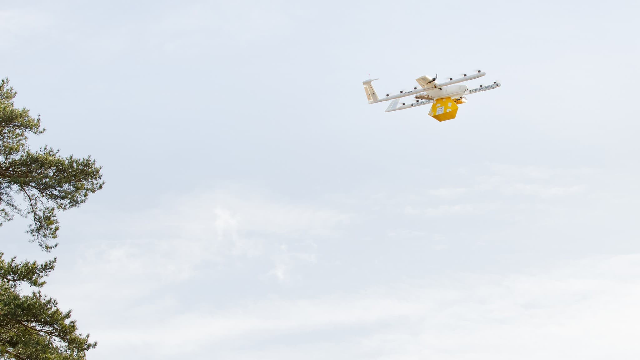 Wing Delivery Drone